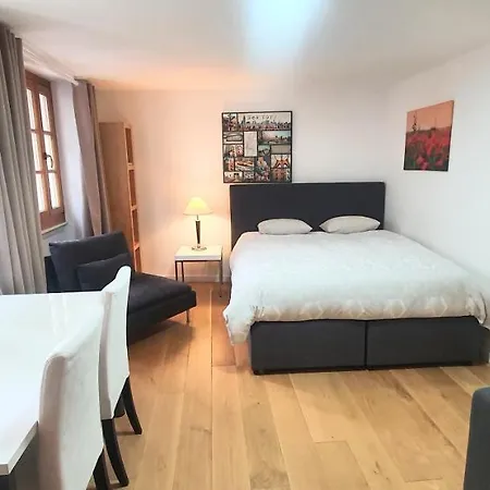 Boel 3 Studio Genève Extérieur photo