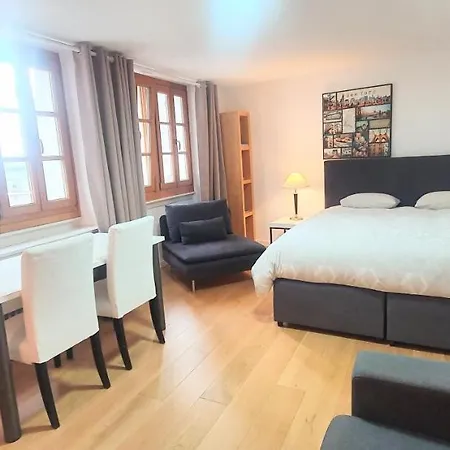 Boel 3 Studio Genève Extérieur photo